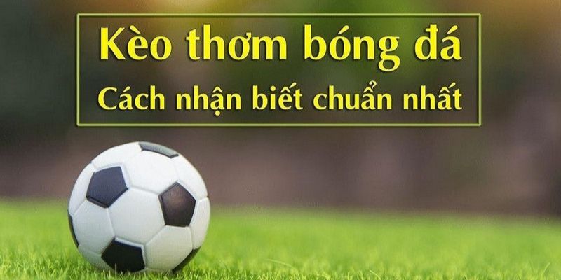 Các cách nhận biết, dự đoán kèo thơm bóng đá chính xác